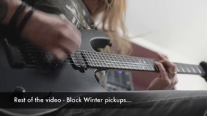 Seymour Duncan Black Winter pickups