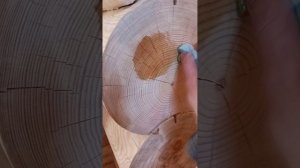 оцилиндрованное бревно, обработка льняныи маслом