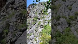 Долина духов. Водопад Чечкыш. Республика Алтай#горныйалтай #лето2023 #путешествия #водопады #чемал