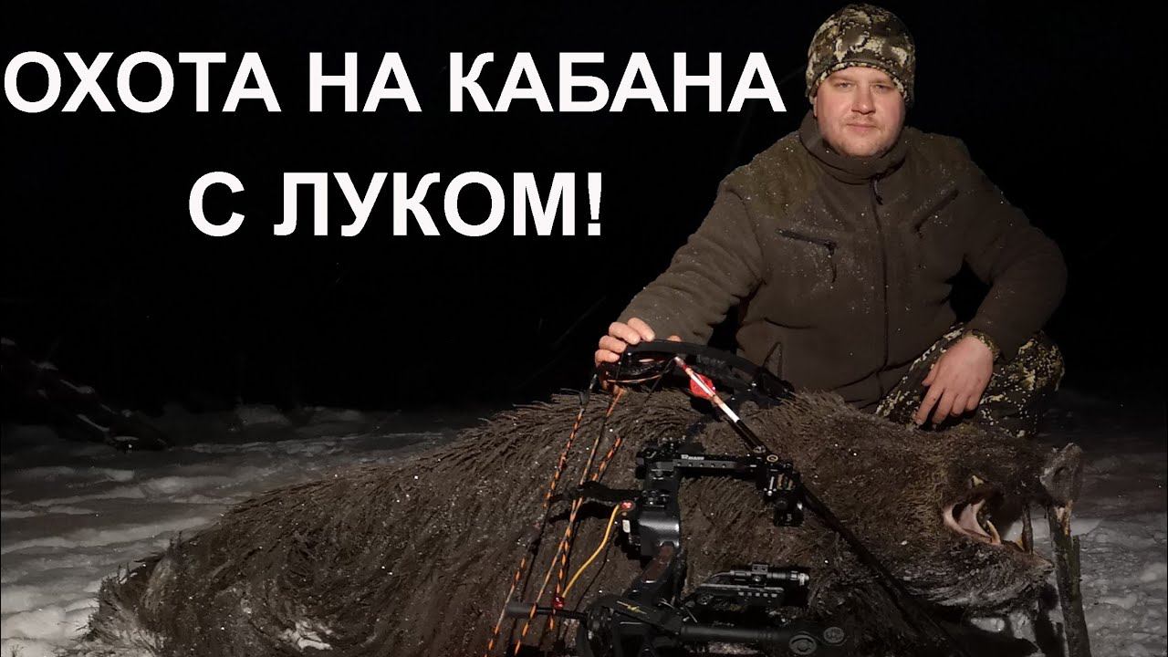 Охота с блочным луком на кабана. смотреть онлайн