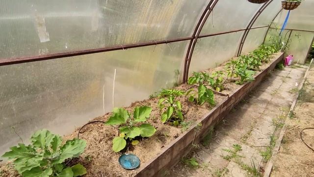 Прогулка по сказочному весеннему саду Александры??Познакомтесь -современный малоуходный огород????️