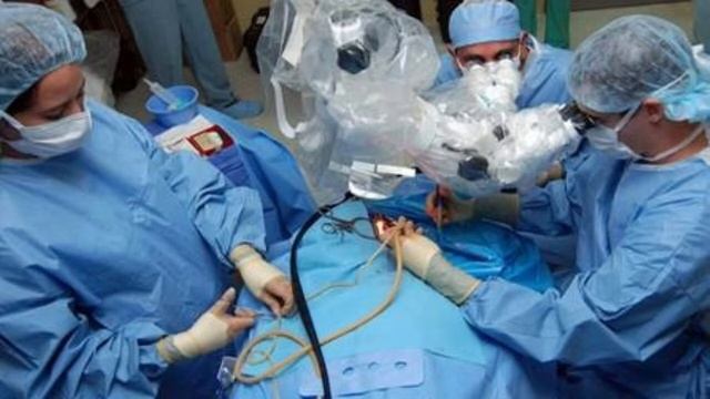 Человек в системе экономических отношений(ОБЩЕСТВОЗНАНИЕ) смотреть онлайн