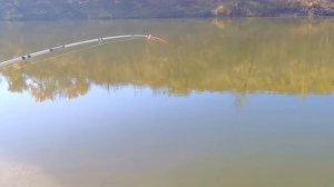 Отдыхаем на Хопре с палатками в октябре и ловим чехонь на резинку