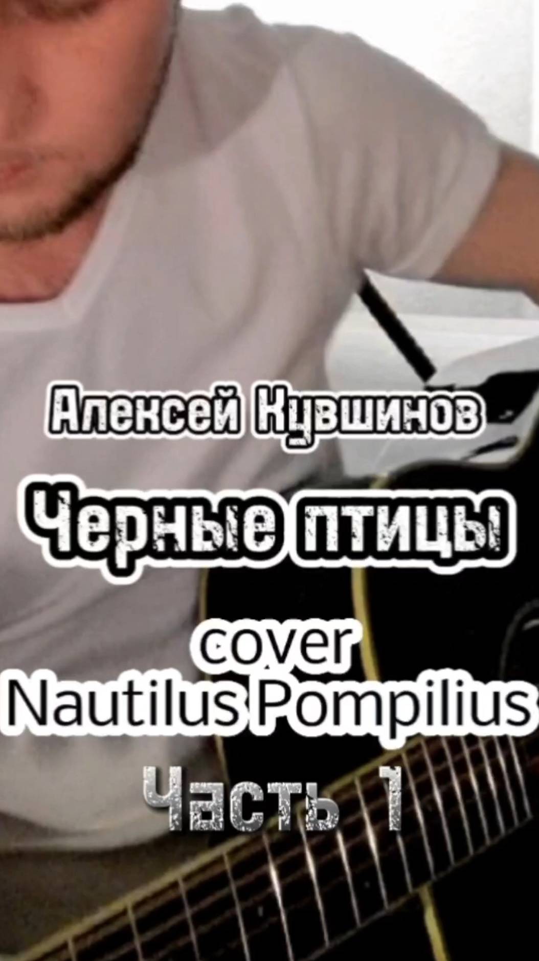 Черные птицы/cover Наутилус/А.Кувшинов #песниподгитару #акустика #каверподгитару #наутилус #бодров