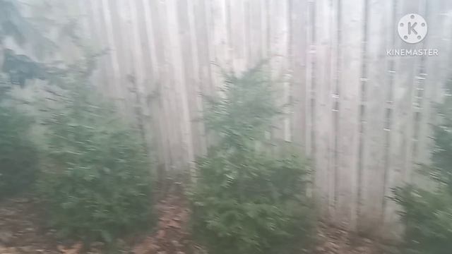 Большой обзор парка "Укромный". Лето 2024. смотреть онлайн