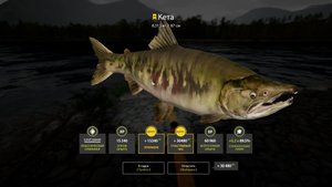 Кета, река яма РР4 Русская рыбалка 4