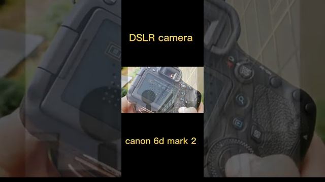 Canon EOS 6D Mark II Digital SLR Camera Body, Wi-Fi Enabled #short #dslrcamera смотреть онлайн