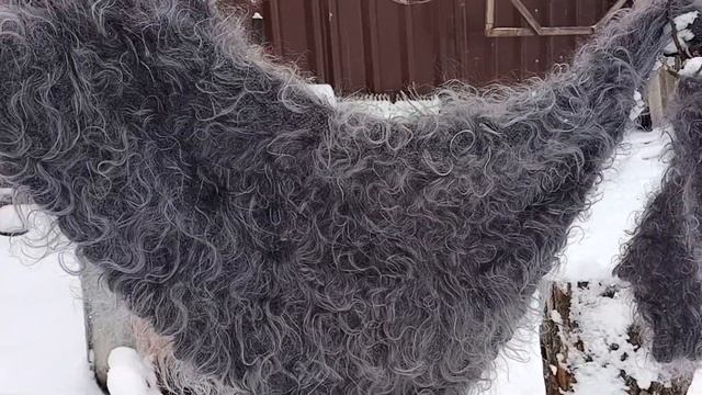 Пуховые шали серые для тепла и уюта. смотреть онлайн