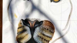 Как нарисовать шерсть льва акрилом. Можно ли красиво рисовать дешёвыми красками? Нюансы акрила