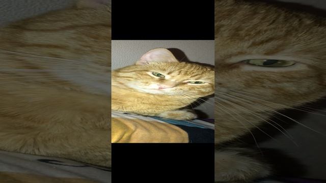 Relax смотреть онлайн