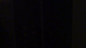 Электрический лифт V=1 м-с, грузоподъемность 320 кг (1791)