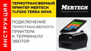 Подключение термотрансферного принтера Mertech TLP300 TERRA NOVA к терминалу Эвотор