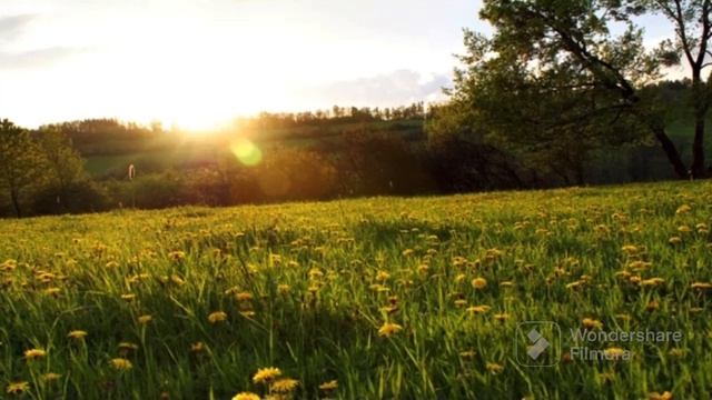 Летнее солнцестояние ☀️ #2023  #летнеесолнцестояние #солнце #лето2023 #ритуалы #послание #человек
