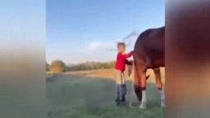 Красивое видео чеченские наездники на лошадях.