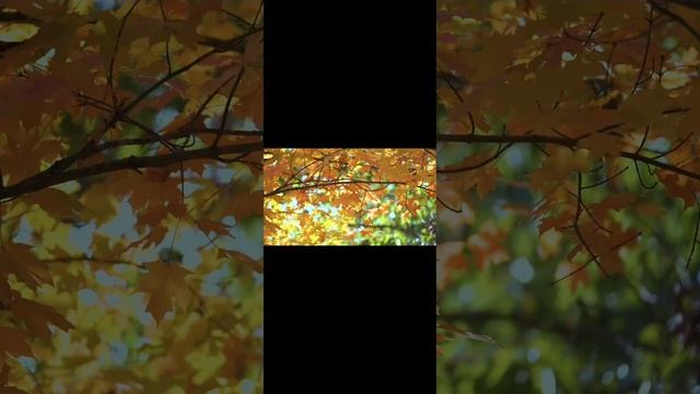 28 октября 2023 г. смотреть онлайн