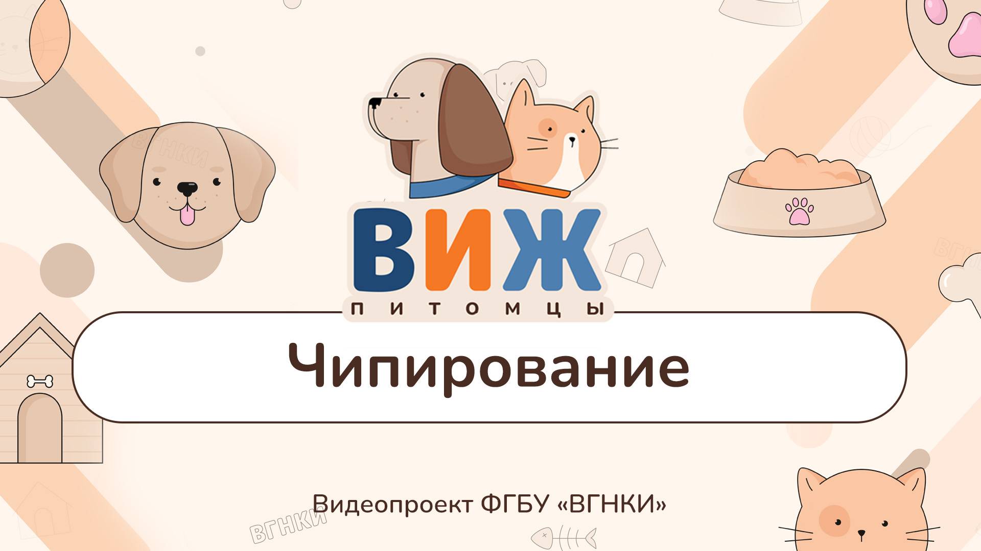 «ВИЖ Питомцы» - Чипирование