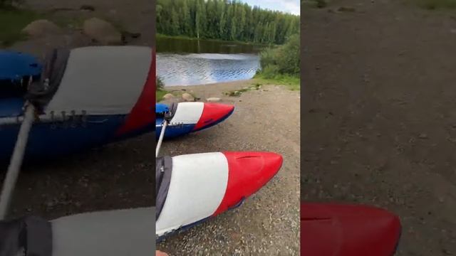 Миллион грибов, Карелия 2021 смотреть онлайн