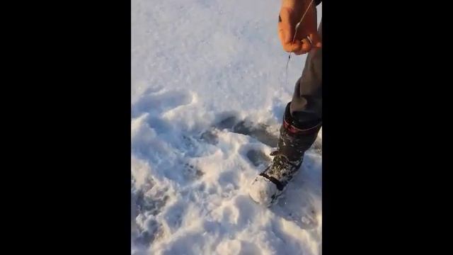 Зимняя рыбалка (январь 2019) смотреть онлайн