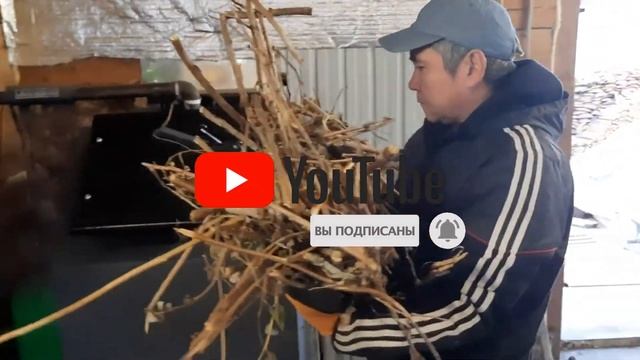 Дожигание угля перед перезагрузкой с котлом Неделька КО-60 смотреть онлайн