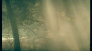 Perfect World - Fly with me [official Video]