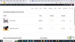 How to Update Cart Automatically on Quantity Increase or Decrease Using WooCommerce Ajax Cart Plugi