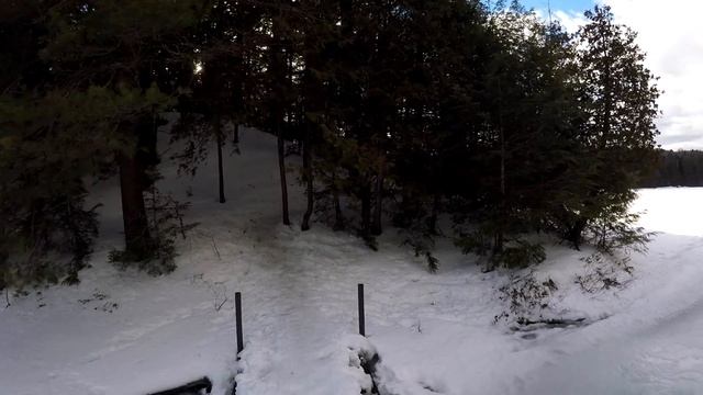 Serene Beauty Of Limberlost forest & it's Frozen Lakes . Feb 2017 . Limberlost Forest, Huntsville смотреть онлайн