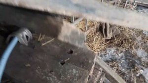 Самодельная Поилка +Греющий кабель