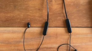 Sony WI-C100 Powerful and cheap but,