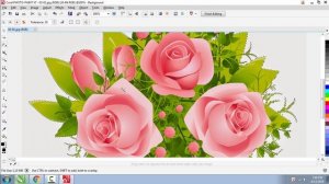 Cách tách nền file hình jpg sang png trong CorelDraw