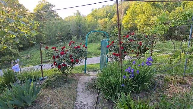 Продажа участка в Сочи с шикарным садом и видом на море. смотреть онлайн