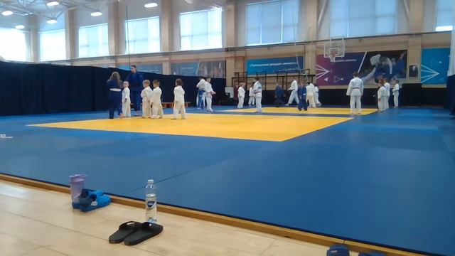 Тренировка по дзюдо младшей группы (29.02) - 16:30 смотреть онлайн