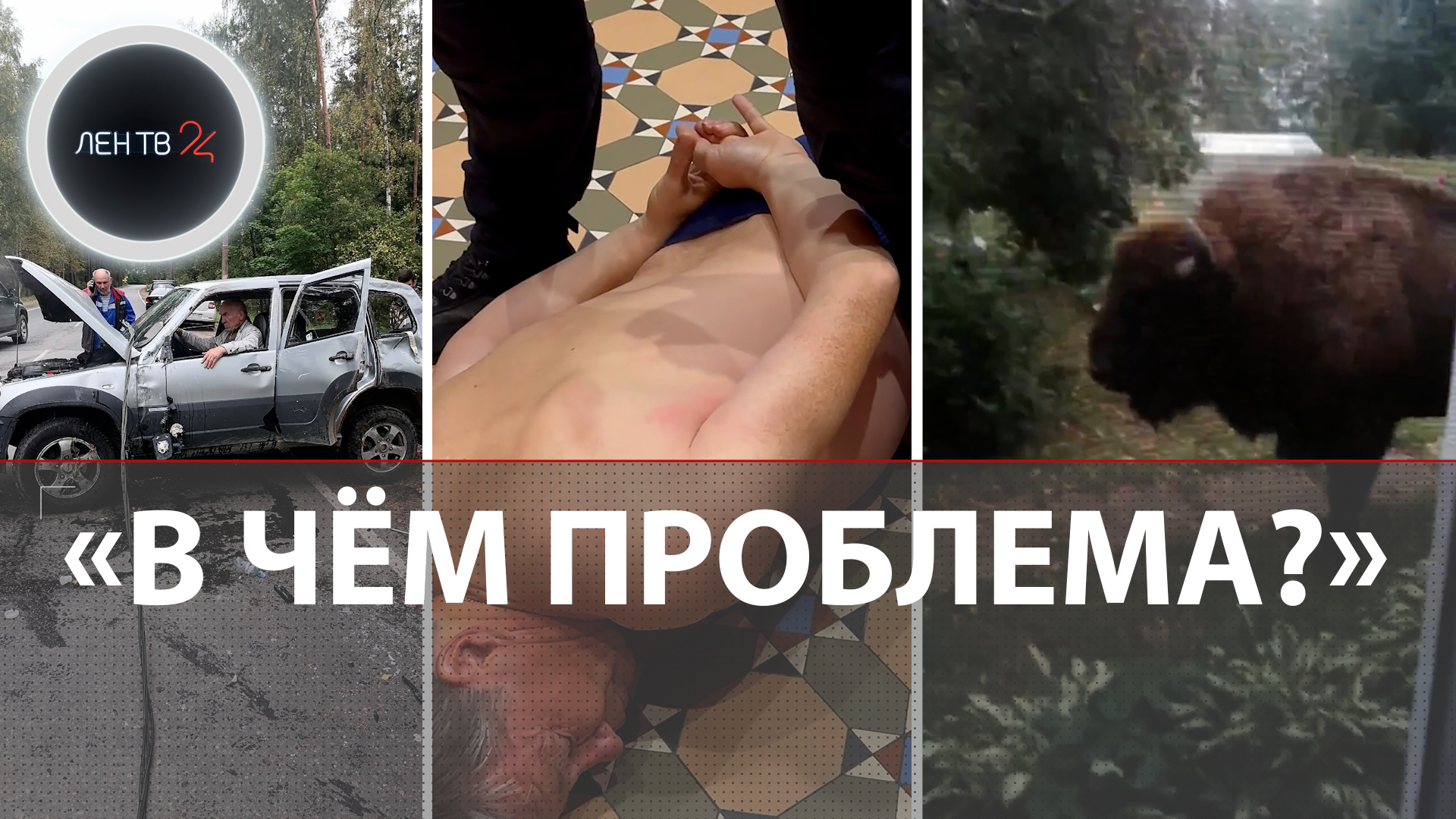 Взятки в МРЭО | Поджог на 11 миллионов | Провели газ за 2 месяца | Электропастух для беглого зубра