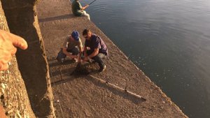 Сочи Элит 000613 Бесплатная рыбалка в реке Сочи