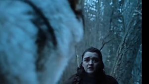 Волк и человек