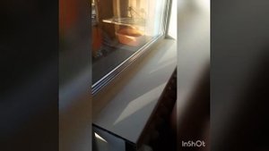 Жидкий пластик! Как правильно обрабатывать примыкания подоконника и откосов с окном