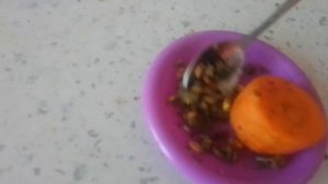 Как сделать вкусняшку для морской свинки?! Я вам расскажу!!! Вкусняшка очень легко делается!!!?