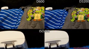 Quick Nikon D600 vs. D3200 Image Quality Test