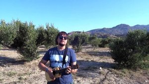 Песня Львенка и Черепахи - Я на солнышке лежу (укулеле кавер)