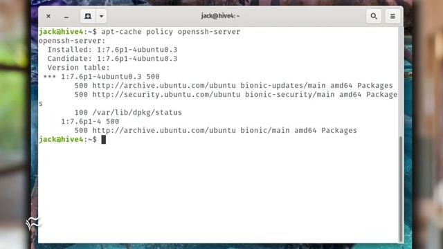 How to find out what version of an app is installed on Linux смотреть онлайн