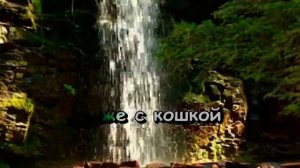 КАРАОКЕ  Черный кот Браво