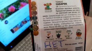 Томаты "САХАРОК. Взошли семена. Как выглядит РАССАДА.  8 марта 2022г.
