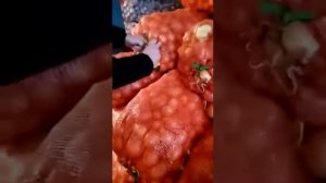 лук на выгонку пера сорт Каратал