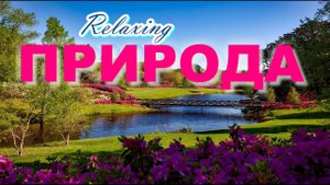 ПЕНИЕ ПТИЦ,РЕКА,КРАСОЧНАЯ ПРИРОДА.Звуки природы ASMR для успокоения нервной системы и хорошего сна