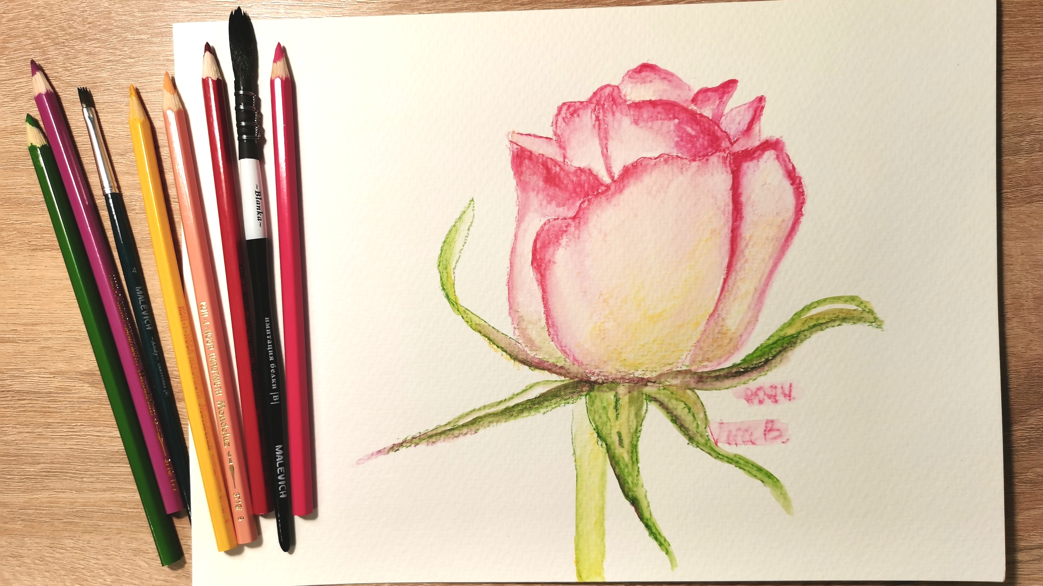 Рисунок розы акварельными карандашами || Пошаговое объяснение
