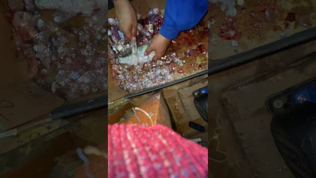 Карась очистка Fishing cleaning crucian carp???? смотреть онлайн