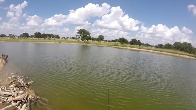 Bass takes gulp bait hard смотреть онлайн