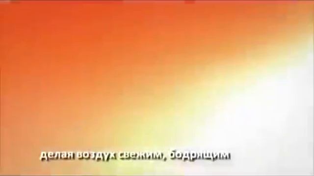 Мойка воздуха Venta LW 25 смотреть онлайн