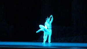 Николай Цискаридзе - БАЯДЕРКА - "Тени" Antre