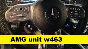 Установка AMG unit в Гелендваген w463, активация опции AMG Drive Unit