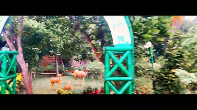 Lotus Eco Resort Konark ! Beach Resort in Odisha vlog #konark #titilagarh #lotus #vlog44✌😇🏊♀️ смотреть онлайн